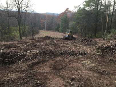 Land Clearing in Polk county