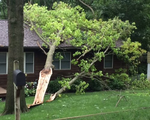 Split Tree Damage in West Salem, OR